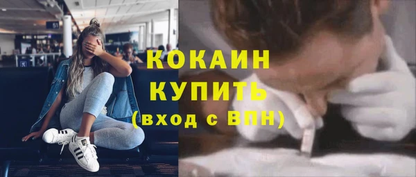 стафф Володарск