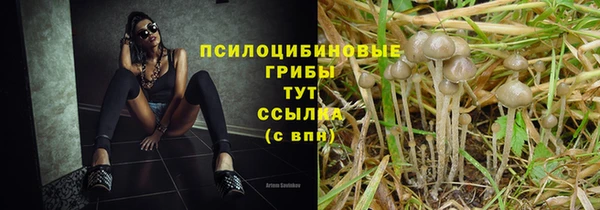 герыч Волоколамск