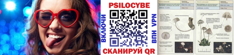Псилоцибиновые грибы Psilocybine cubensis  Купить  Златоуст 
