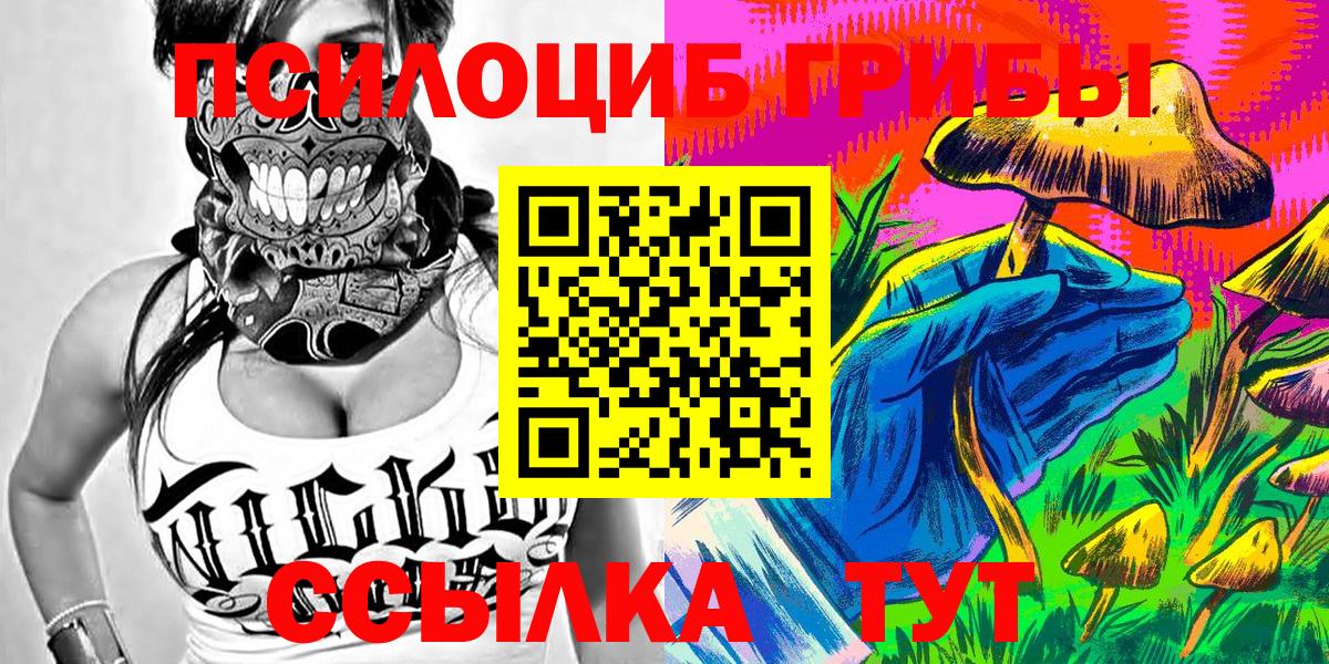 Златоуст  Псилоцибиновые грибы мицелий  Псилоцибиновые грибы мухоморы  Вход с VPN 