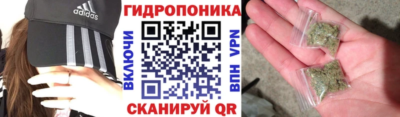 Купить закладки  Златоуст  Каннабис сатива 